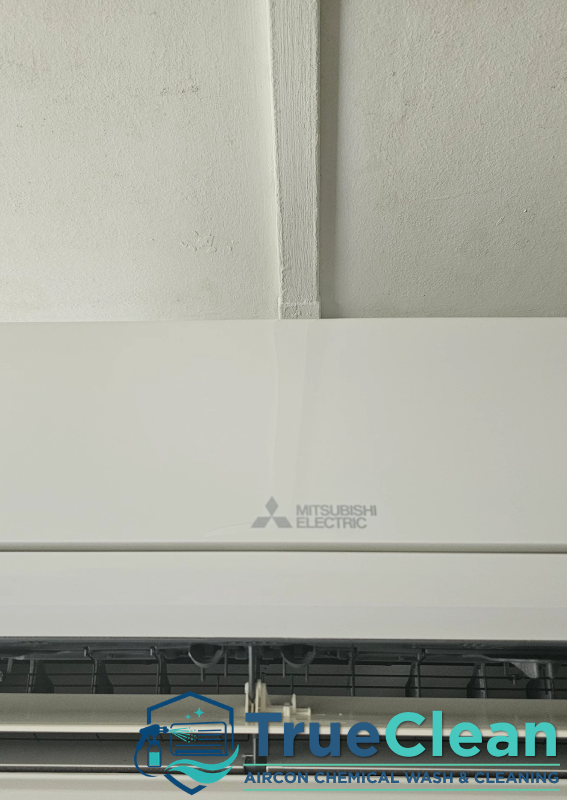 aircon-service-trueclean-aircon-chemical-wash-and-cleaning-singapore-condo-redhill-00